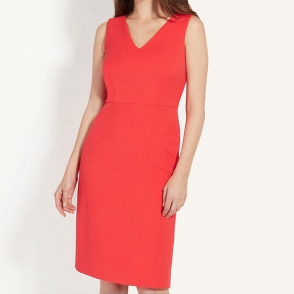 Beautiful Ann Taylor dress with ruffle back V